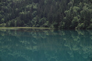 静谧幽蓝湖水映山林