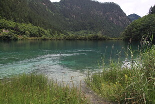 青山绿水间的秀丽河畔