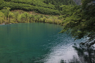 青山环绕的幽美翠绿湖泊