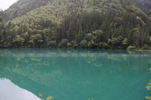 翠绿山林环绕的澄澈湖水