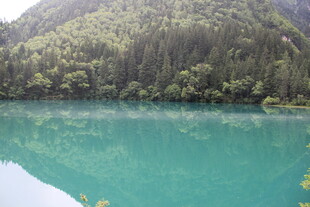 碧绿湖水与葱郁山林美景