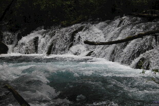 山间流淌的清澈溪流