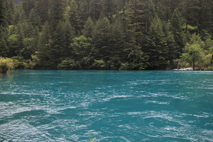 蓝绿色湖水与茂密森林