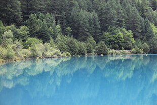 梦幻蓝湖 周边森林美景