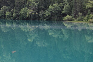 碧绿湖水映葱郁山林