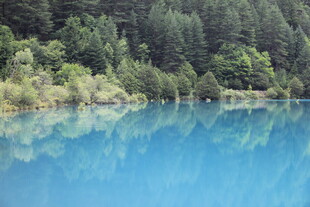 蓝湖映林景