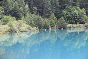 蓝湖映林景 自然之绮丽