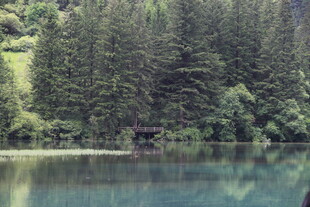 静谧山林间的清澈湖水