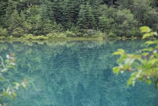 幽美清澈的森林湖泊