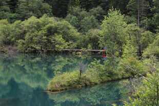 山间幽蓝湖泊与葱郁林木