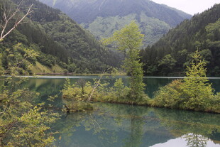 山间幽湖 绿意盎然之景