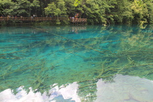 清澈幽蓝的自然潭水景观