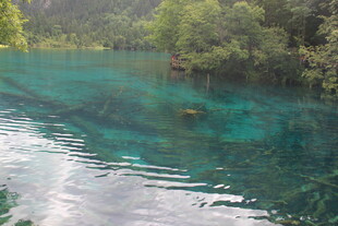 清澈碧绿的山间幽美水域