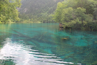 清澈碧绿的山林间幽美湖水