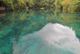 清澈碧绿的美丽湖水景观