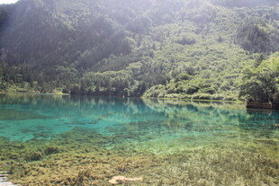 梦幻碧绿湖水山林美景