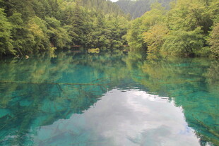 清澈幽美的山林湖泊景色