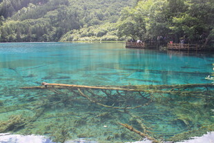 清澈碧绿的美丽湖景