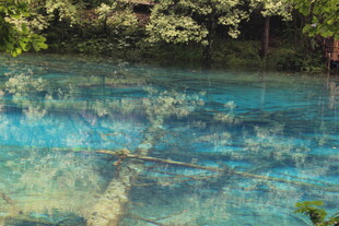 清澈见底的森林幽蓝湖水