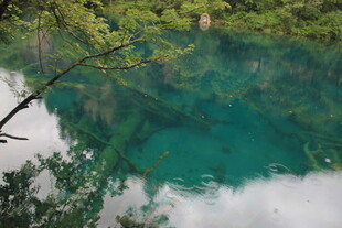 梦幻蓝绿湖泊森林美景