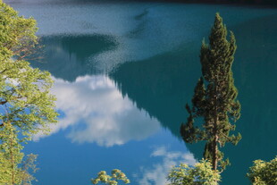 湖畔绿树映蓝天美景