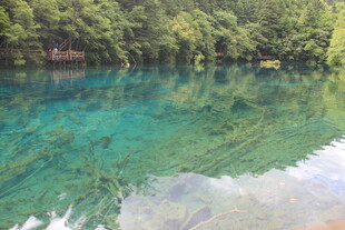 清澈碧绿的山林湖泊美景