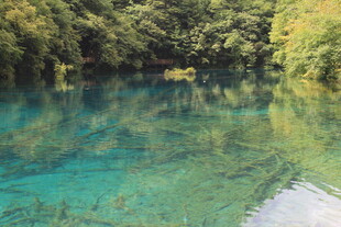 清澈碧绿的自然湖泊美景