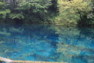 清澈蓝湖映山林