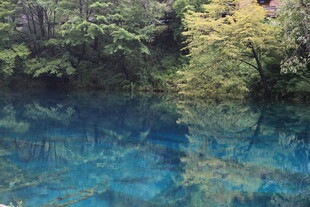 清澈蓝湖映绿树