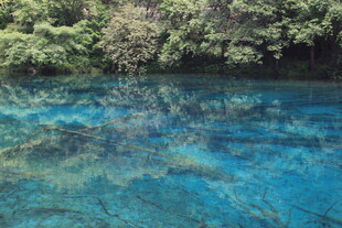 清澈蓝湖与岸边葱郁植被
