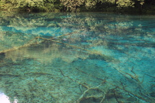 清澈见底的碧蓝水下世界