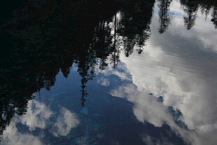 湖面倒映蓝天白云与树木