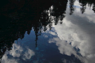 湖面倒映蓝天白云树木