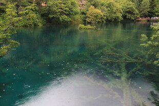 清澈碧绿的静谧湖水景观