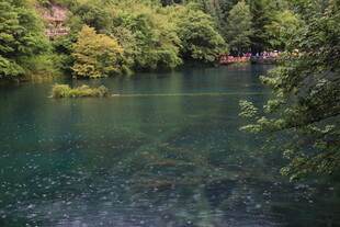 清幽山林中的澄澈湖水