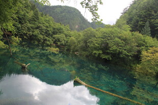 青山绿水间的澄澈幽潭