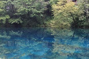 清澈蓝湖旁的葱郁山林