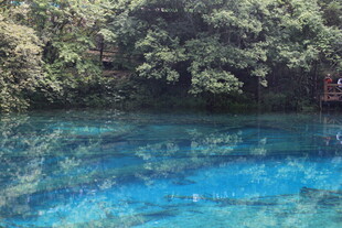 清澈蓝湖 周边绿意环绕