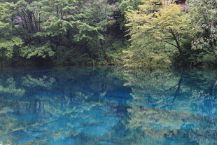 清澈蓝湖与岸边葱郁植被