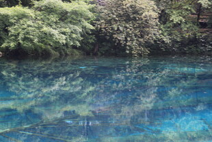 清澈蓝湖与岸边葱郁植被