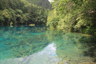 清澈碧绿的山间幽美湖水