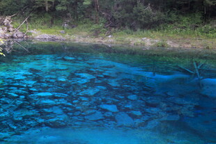 清澈蓝潭 自然之美