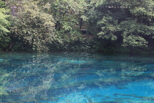 清澈蓝湖与葱郁植被景观