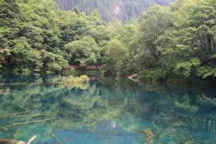 清澈山林间的幽蓝湖水