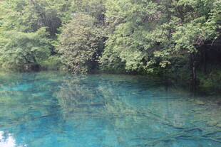 清澈蓝湖与葱郁树林美景