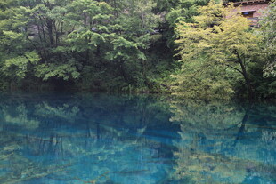 清澈蓝湖映葱郁山林