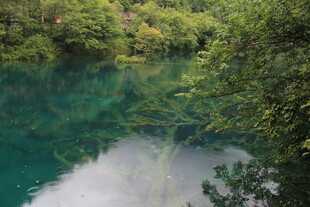 翠绿山林间的幽蓝湖水