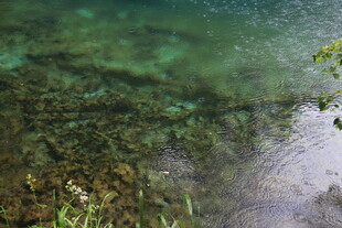 清澈水底的自然景致