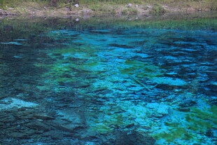 清澈见底的幽蓝水底世界