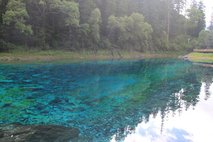 清澈蓝湖映山林美景
